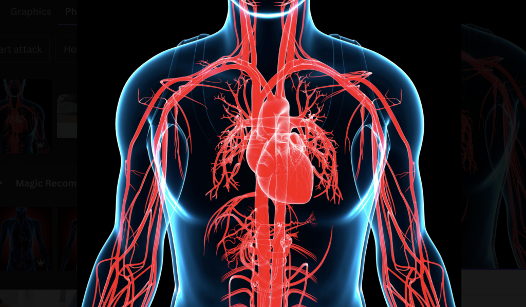 Boosting Arterial Health and Circulation

The stem cell nutrient works by promoting the release of stem cells from the bone marrow and their migration toward areas of arterial damage. Once there, the activated stem cells engage in the repair and regeneration process, leading to the removal of plaque and the restoration of optimal blood flow. Clinical studies have demonstrated that individuals who supplemented their diet with this stem cell nutrient experienced a significant increase in arterial diameter, resulting in a 50% improvement in circulation.